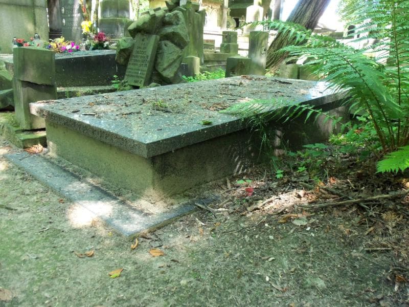 Zdjęcie grobu Witold Daniszewski (1)