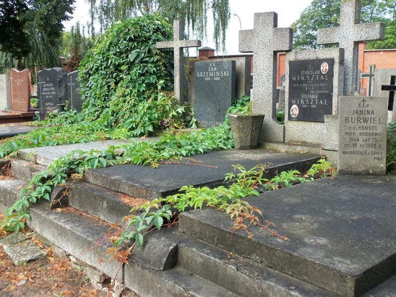 Zdjęcie grobu Stefania Miksztal (1)
