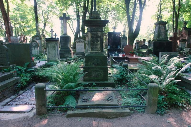Zdjęcie grobu Józef Zdzitowiecki (1)