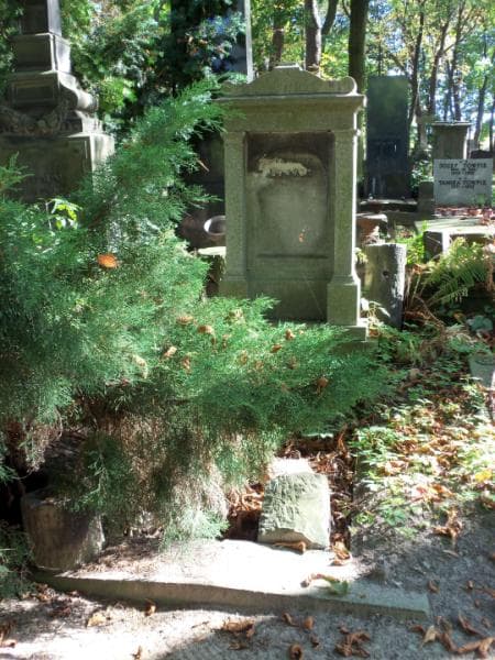 Zdjęcie grobu: Josephine Legris
