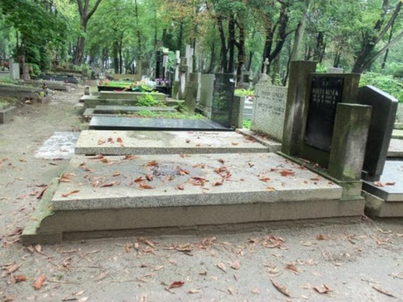 Zdjęcie grobu Józefa Kusek (1)