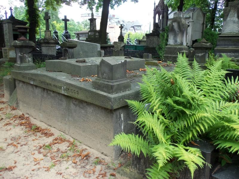 Zdjęcie grobu Aniela Wachulska (2)