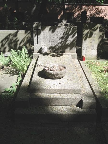 Zdjęcie grobu: Antonina Jarzyńska