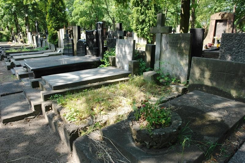 Zdjęcie grobu: Jan Rybarski
