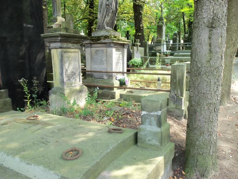 Zdjęcie grobu Petronella Chmielewska (1)