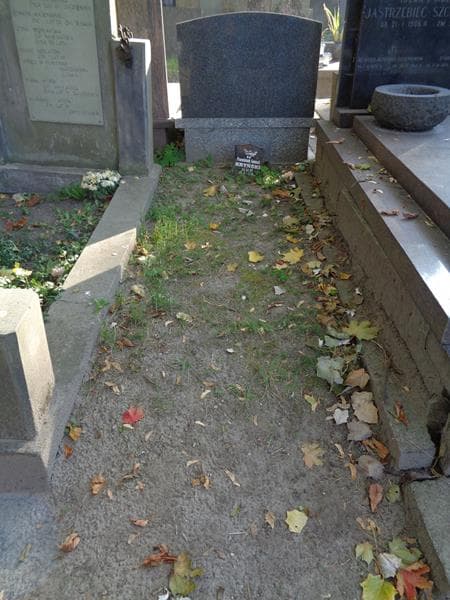 Zdjęcie grobu: Anonim / Franciszek Leszek Kryński