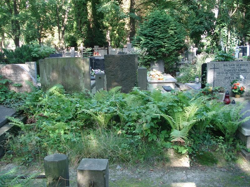 Zdjęcie grobu: Pole Grobowe