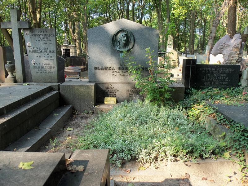 Zdjęcie grobu: Zofia Szeliżyna