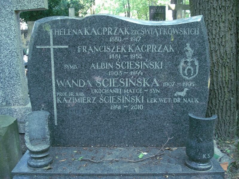 Zdjęcie grobu Franciszek Kacprzak (1)