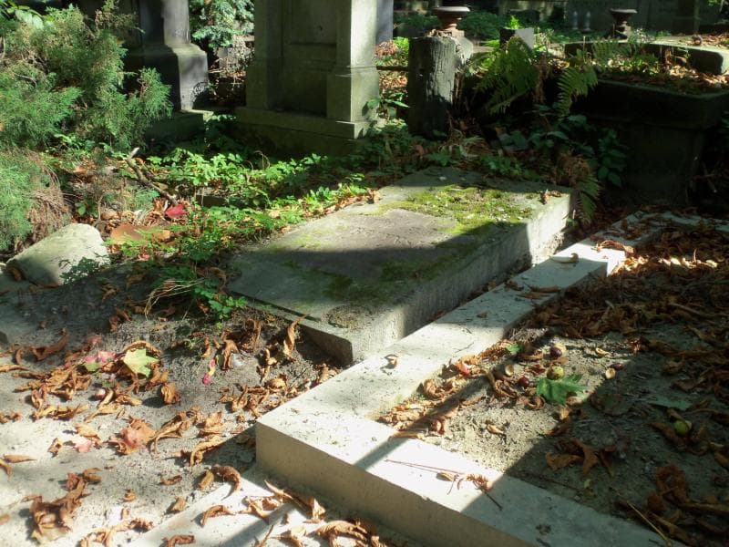 Zdjęcie grobu Florentyna Dobrzyńska (1)