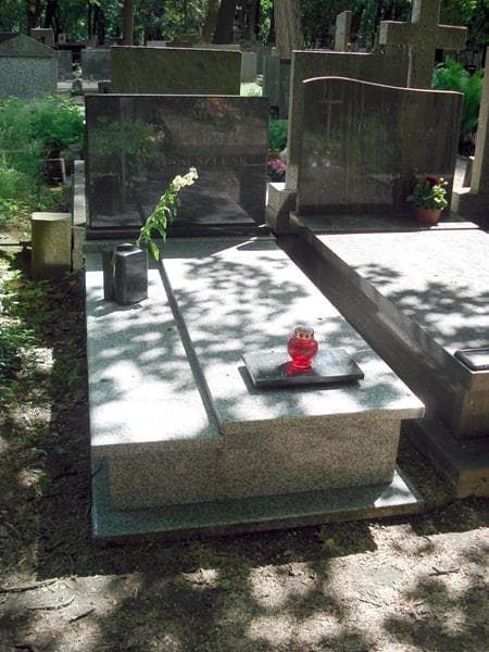 Zdjęcie grobu: Antoni Szlenk