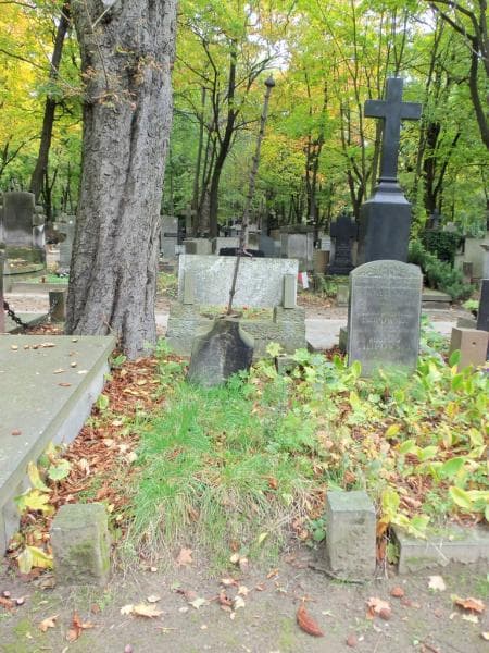 Zdjęcie grobu: Anastazja Dobrowolska