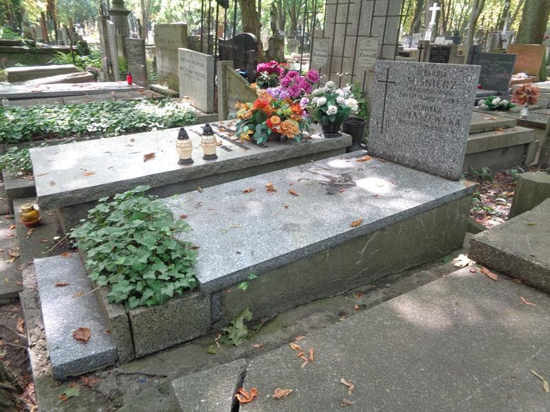 Zdjęcie grobu: Henryka Tomaszewska