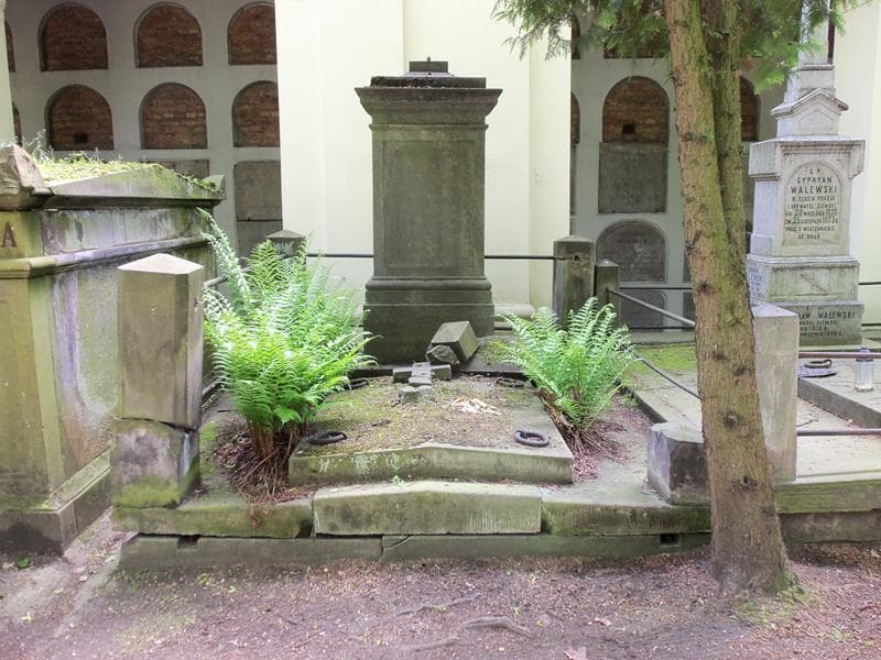 Zdjęcie grobu: Antonina Janikowska