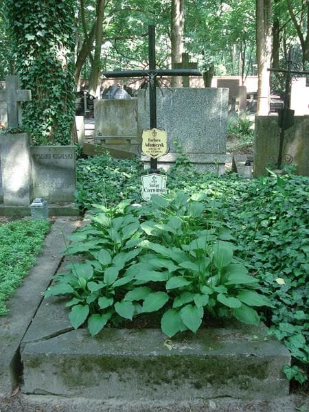 Zdjęcie grobu: Stefan Czerwiński