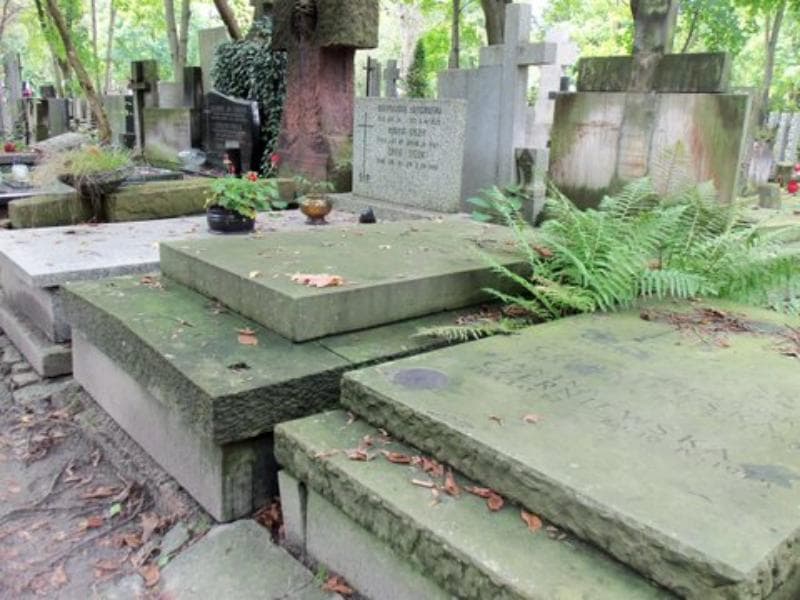 Zdjęcie grobu Ludwika Żmudzińska (1)