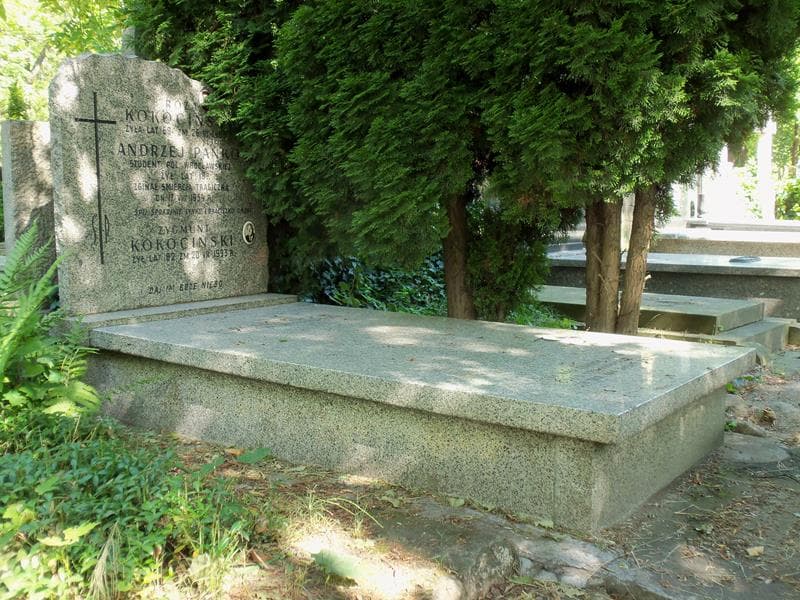 Zdjęcie grobu Andrzej Pańko (1)