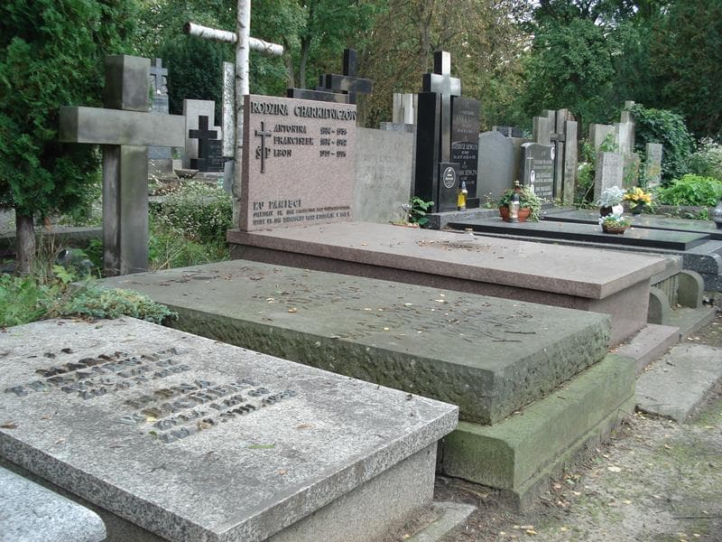 Zdjęcie grobu Ewa Bandrowska Turska (1)