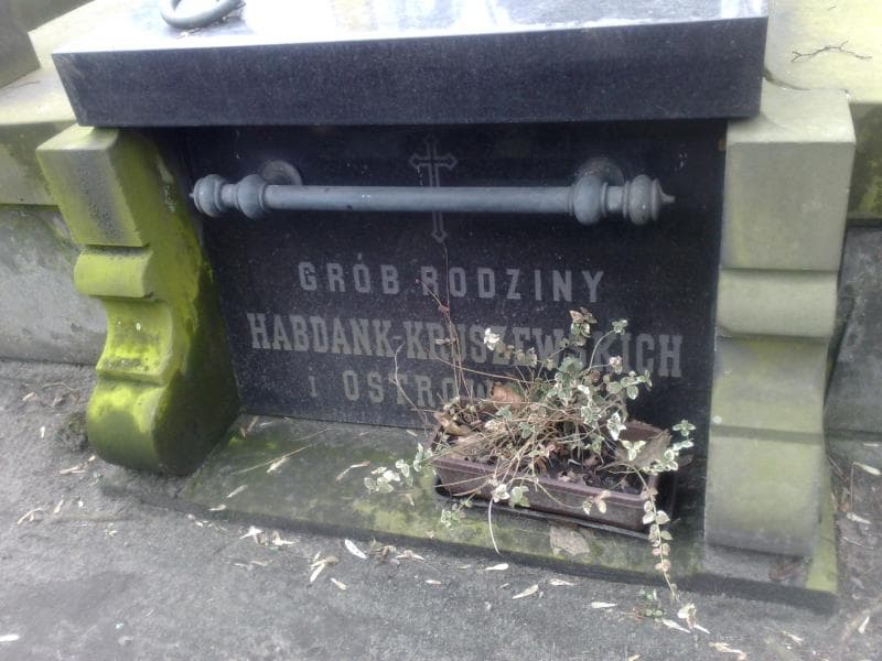 Zdjęcie grobu Hanna Malewiczowa (2)