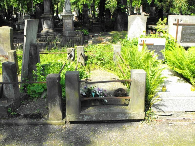 Zdjęcie grobu: Ladislaus Gomes Rozwadowski