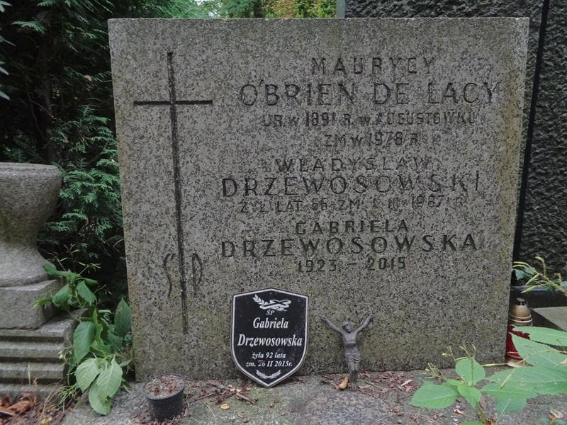 Zdjęcie grobu Gabriela Drzewosowska (2)