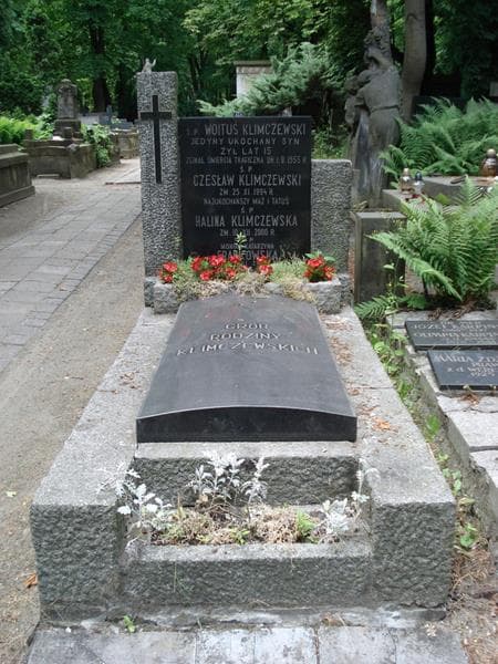 Zdjęcie grobu Wojtyś Klimczewski (1)