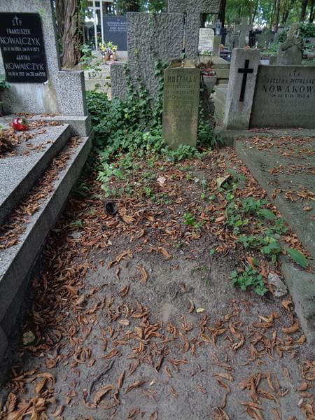 Zdjęcie grobu Stanisława Hoffman (1)