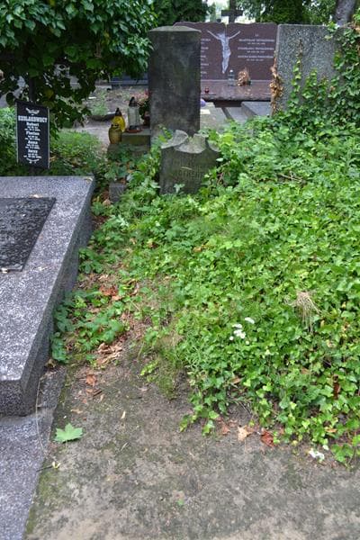 Zdjęcie grobu Zofja Rothert (1)