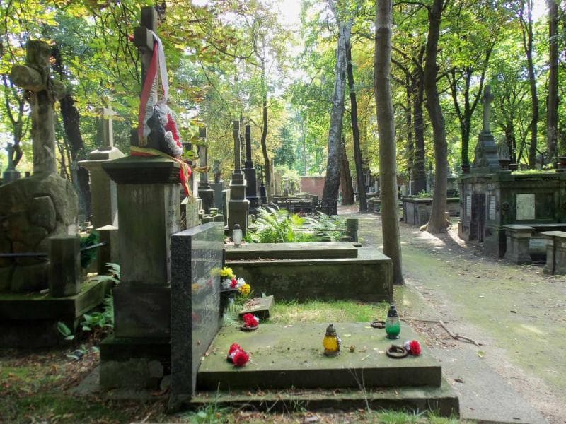 Zdjęcie grobu Juljusz Górski (1)