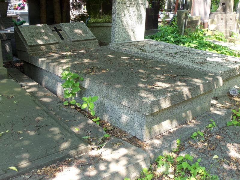 Zdjęcie grobu Janina Polińska (1)