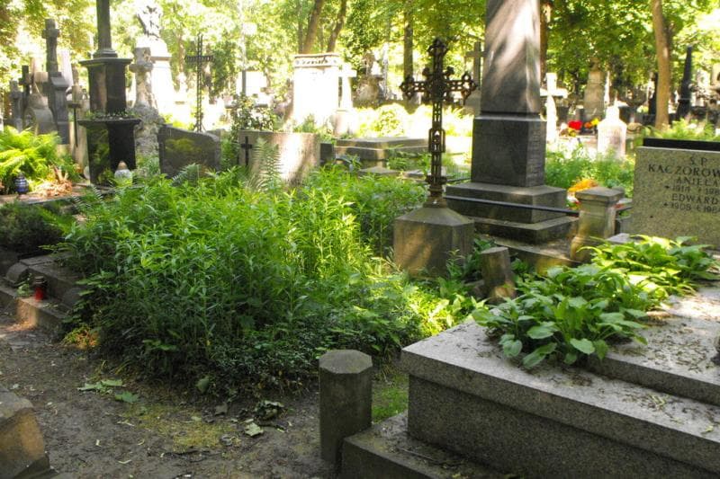 Zdjęcie grobu Nowińscy (1)