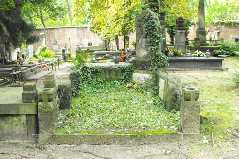 Zdjęcie grobu: Feliks Czarnecki