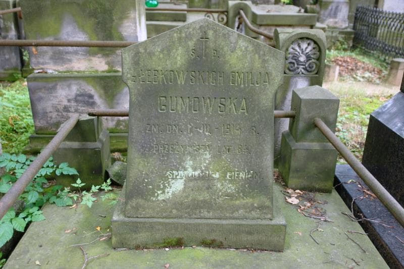 Zdjęcie grobu Emilja Gumowska (2)