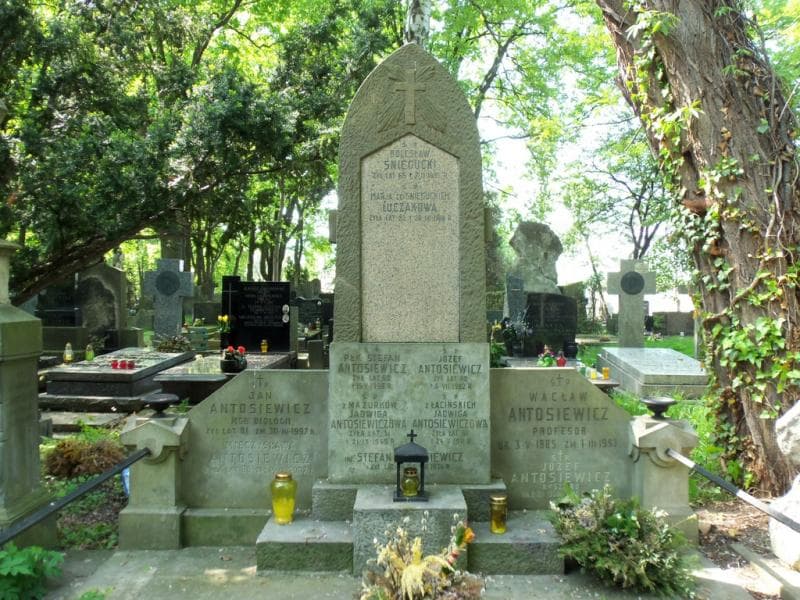 Zdjęcie grobu Jan Antosiewicz (2)