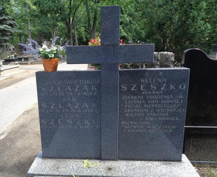 Zdjęcie grobu Leon Szeszko (2)