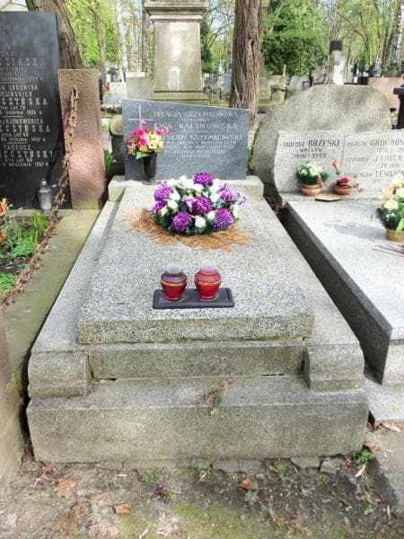 Zdjęcie grobu: Zdzisław Grzymkowski