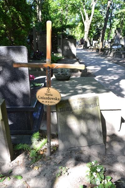 Zdjęcie grobu Stanisław Ostrowski (1)