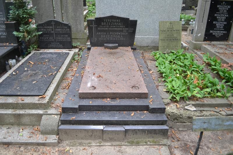 Zdjęcie grobu Ferdynand Brzeziński (1)