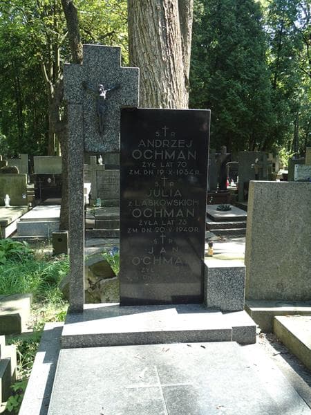 Zdjęcie grobu Jan Ochman (2)