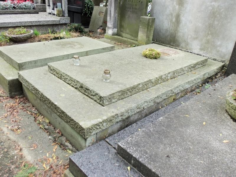 Zdjęcie grobu Tadea Chrzanowska (1)