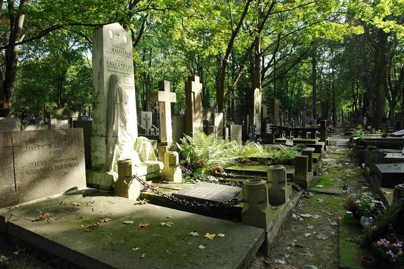 Zdjęcie grobu: Leonard Cienkowski