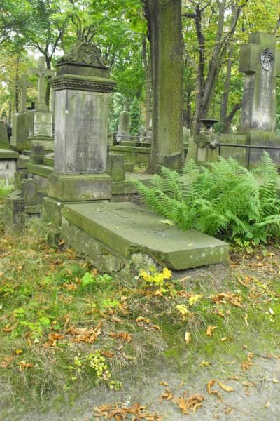 Zdjęcie grobu Marja Tołwińska (1)