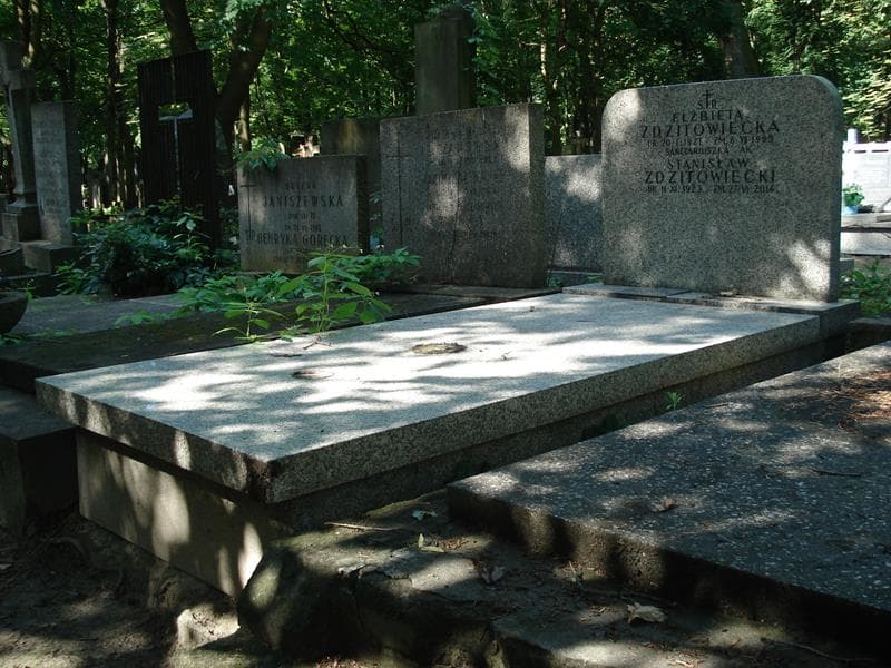 Zdjęcie grobu Stanisław Zdzitowiecki (1)