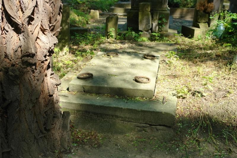 Zdjęcie grobu Dybowscy (2)