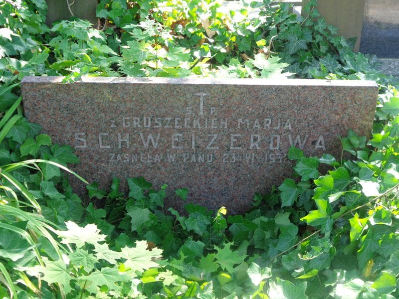Zdjęcie grobu Marja Schweizerow (2)