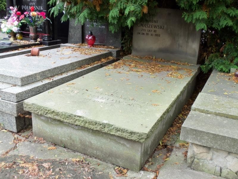 Zdjęcie grobu Zygmunt Tomaszewski (1)
