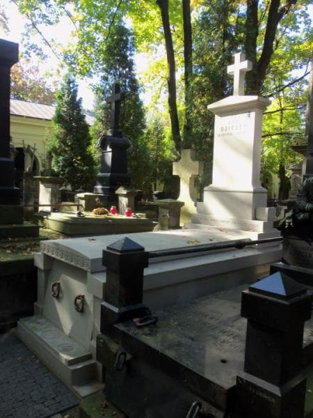 Zdjęcie grobu Ewa Dziczek (1)