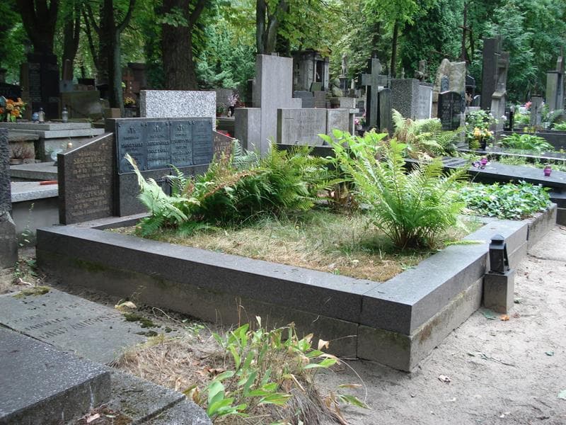 Zdjęcie grobu: Bronisława Lewandowska