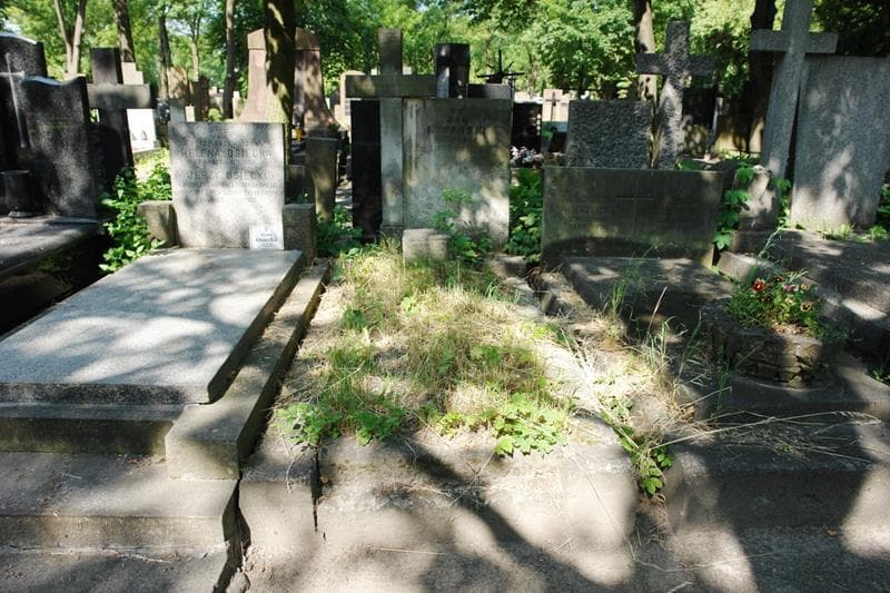 Zdjęcie grobu Jan Rybarski (1)