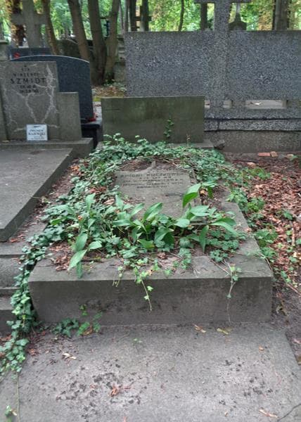 Zdjęcie grobu Tekla Jadwiga Kuczkowska (1)